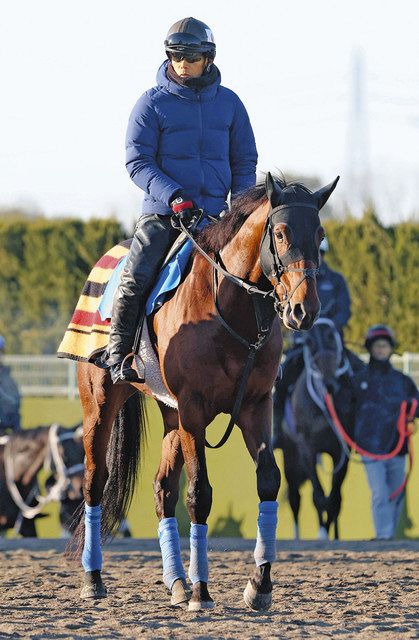 中山金杯】枠順決定、天皇賞・秋3着ホウオウビスケッツは大外8枠