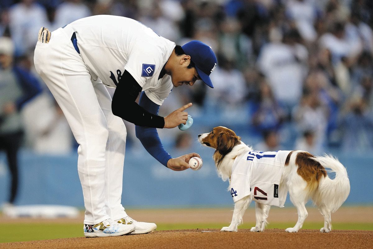 ロバーツ監督、大谷翔平の愛犬「デコピン」の始球式と活躍に感心「翔平の犬なら驚くことはないのかも」「どんな大きな瞬間でも、輝く男だね」：中日スポーツ・東京中日スポーツ