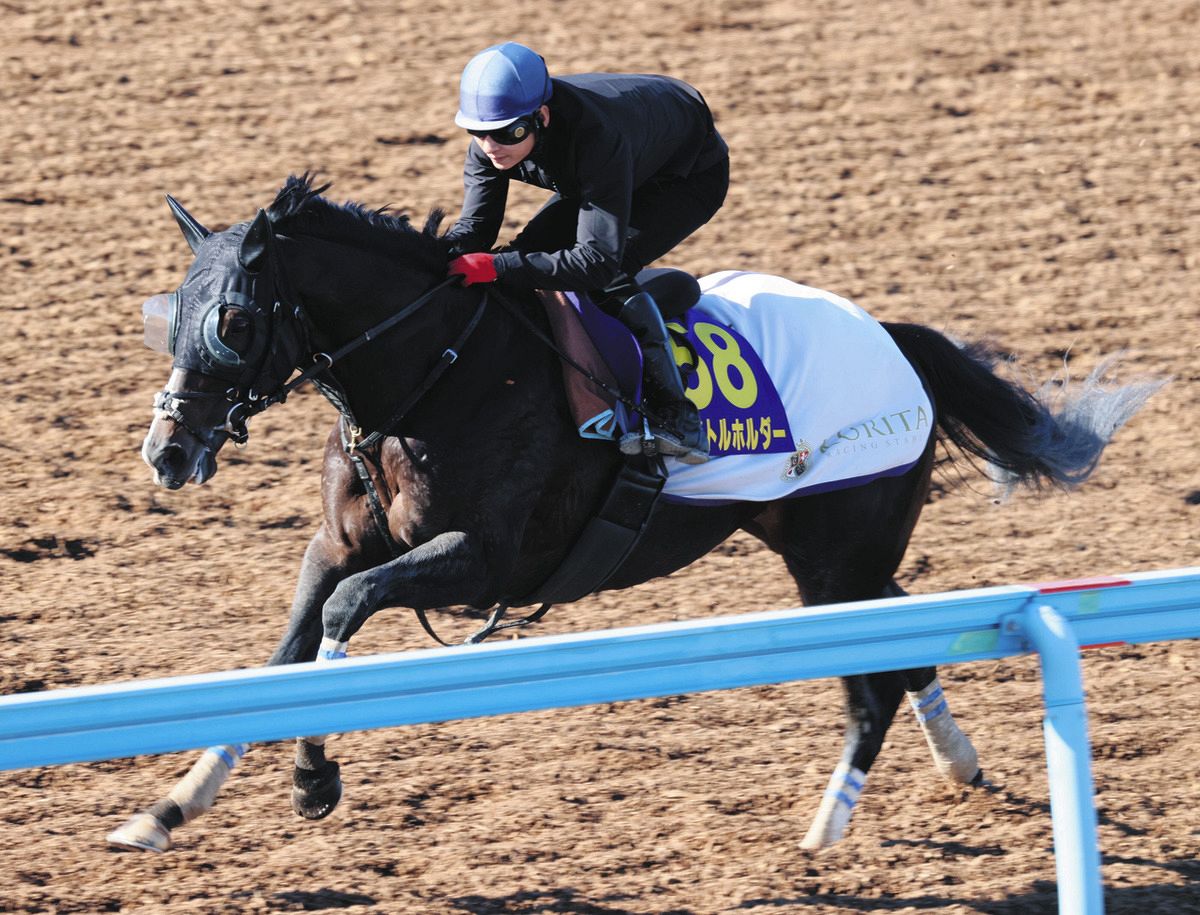 ラストランのタイトルホルダー”三度目の正直”で有馬記念を制す！勝って