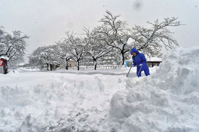 初雪から一晩で 石川県内積雪 珠洲22センチ 北陸中日新聞web