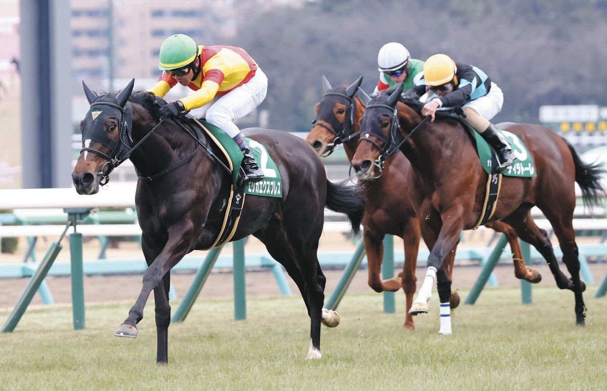 フェアリーS】単勝２番人気エリカエクスプレスが快勝 新馬戦から2連勝で重賞制覇：中日スポーツ・東京中日スポーツ