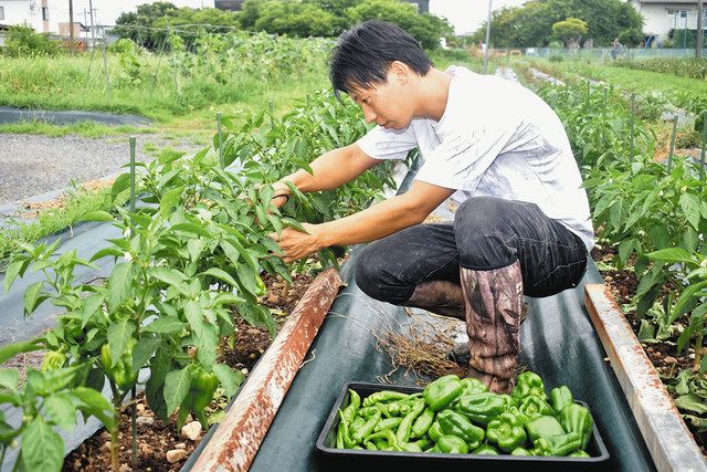 就農の「壁」3年目の若手農家が語る 経験ゼロ…土地探しや相談先に苦労