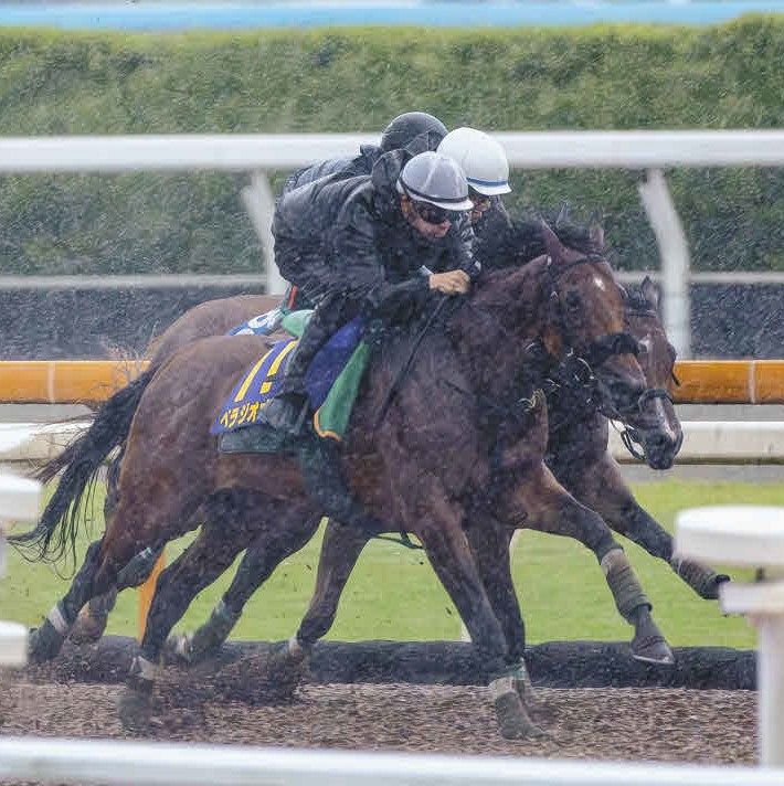 宝塚記念追い切り】ベラジオオペラ6F81秒8―11秒2で余裕の先着