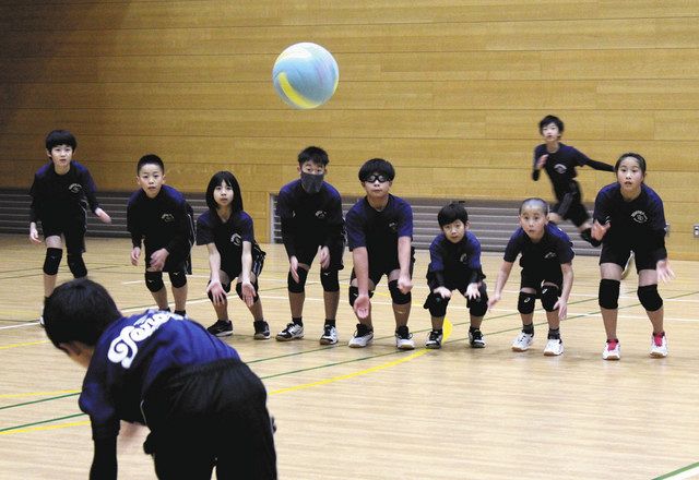 習い事ことはじめ ドッジボール 北陸中日新聞web