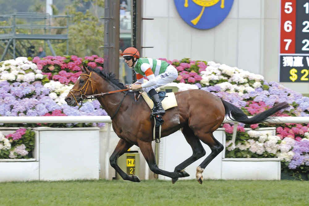 タスティエーラ アイドルホース クイーンエリザベスII世C 唯一の外国馬