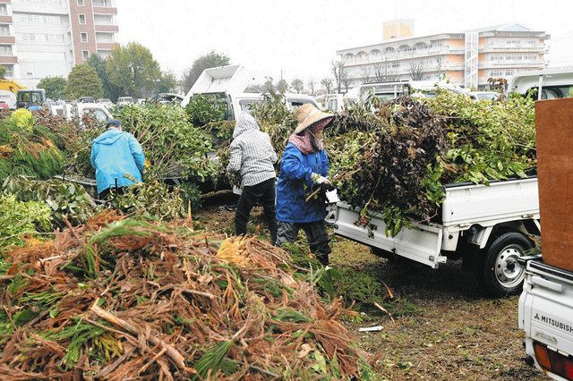 散居村景観保護へ 剪定枝の回収開始 南砺市 北陸中日新聞web