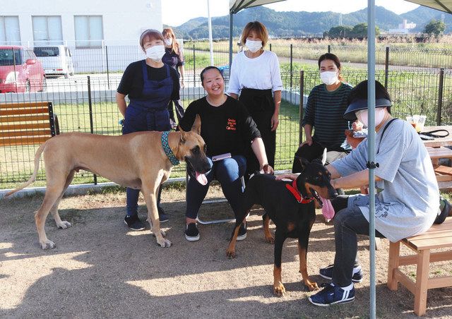 大型犬もおいで 武芸川にドッグランカフェ開業 中日新聞web