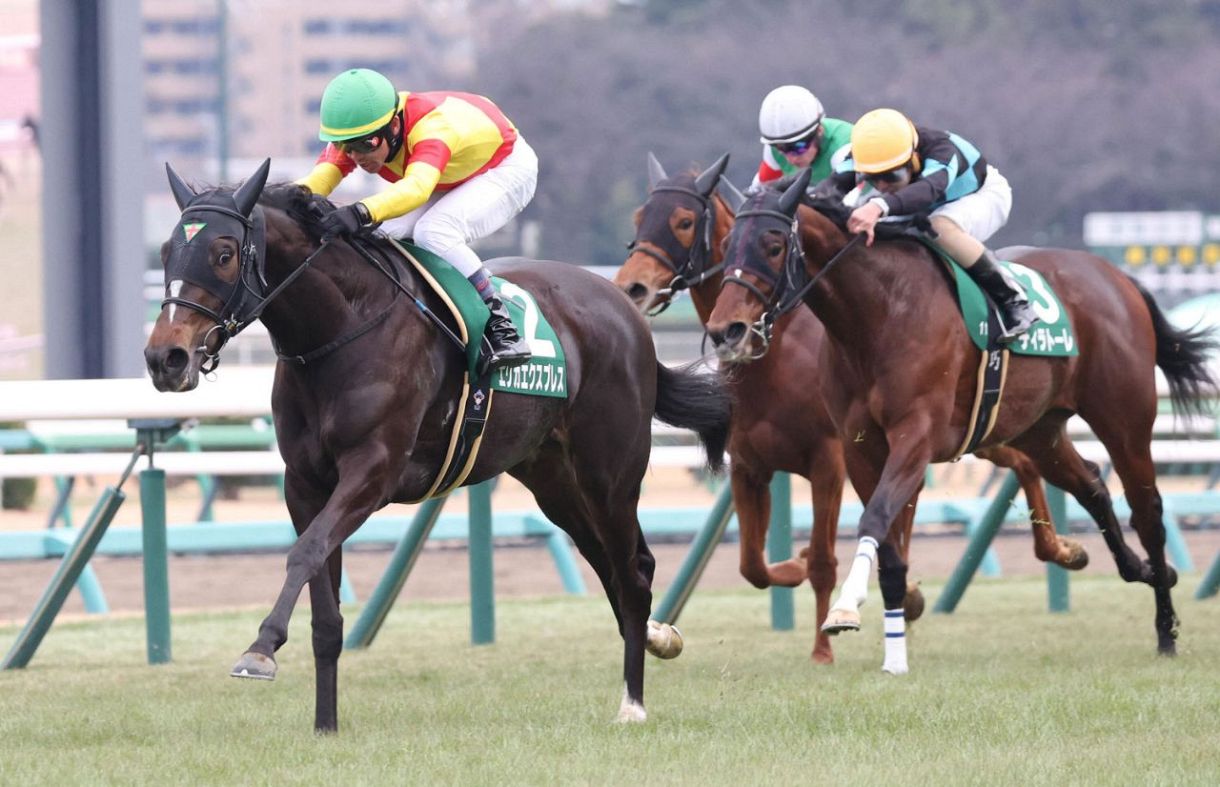 優勝PR　PR+　これからのこと フェイト 優勝PR PR+ これからのこと フェイト - メルカリ