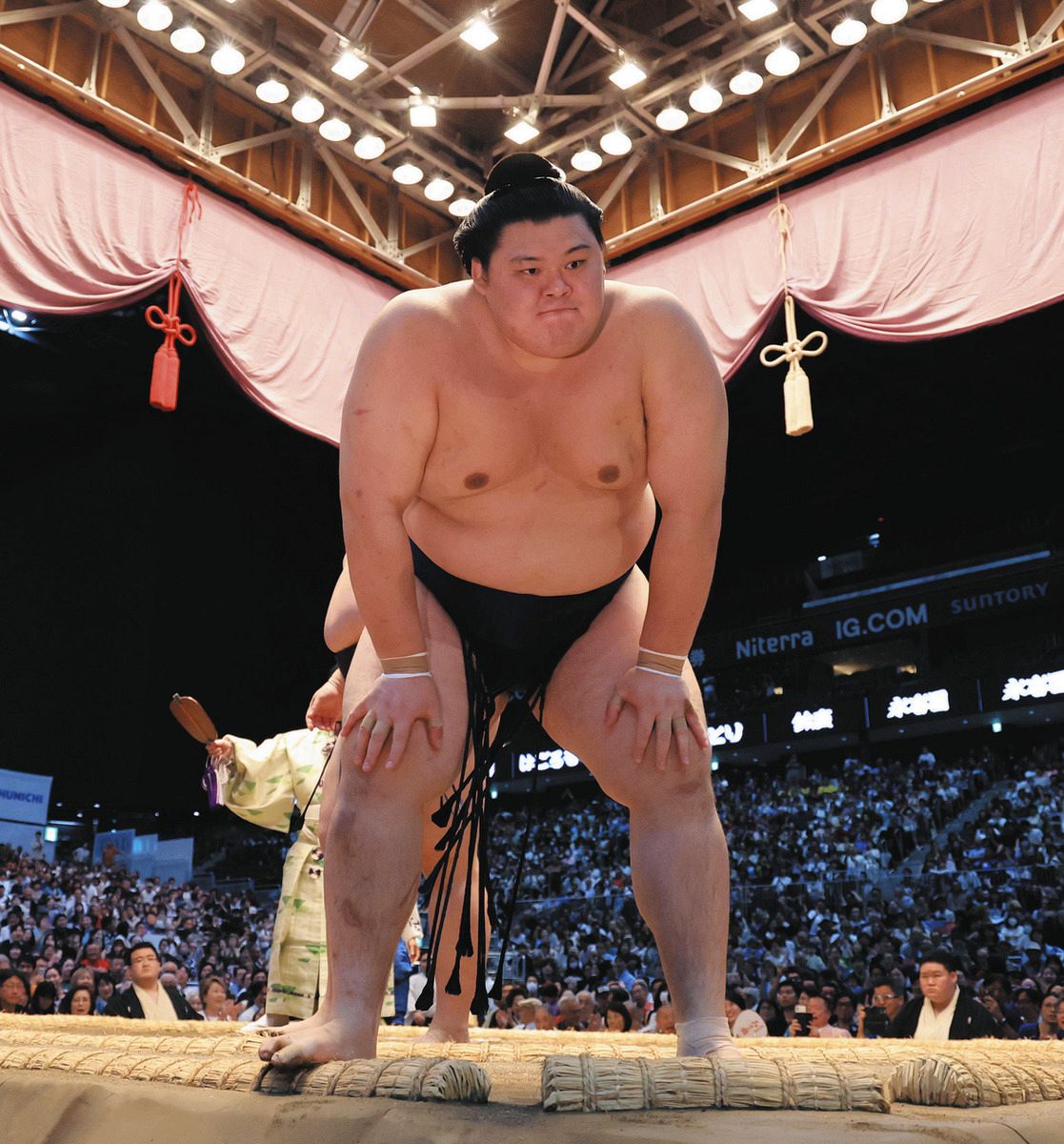 大相撲 名古屋 場所 の 結果