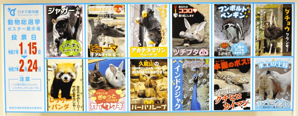 好きな動物に1票を 日本平動物園が「総選挙」：中日新聞しずおかWeb
