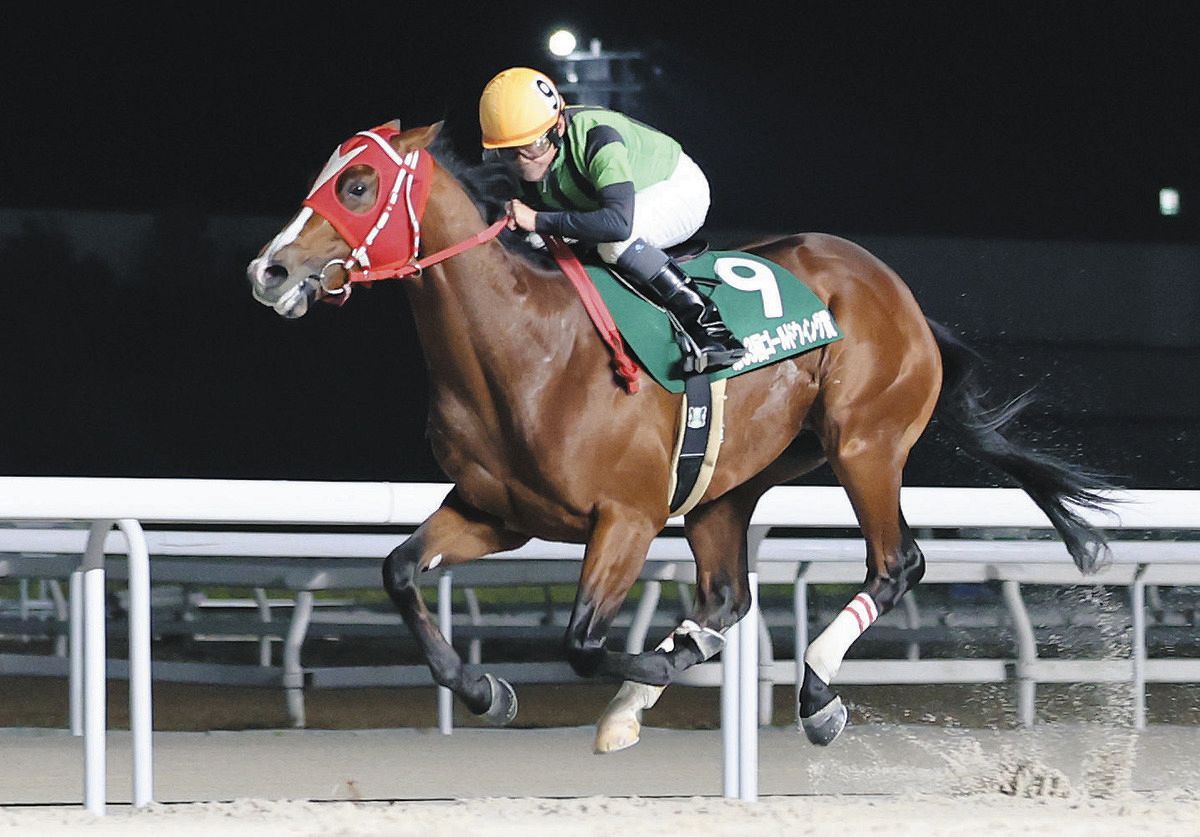【中古】 オッズで読める競馬必勝の法則/ぱる出版/矢田部公敬 オッズで読める競馬必勝の法則 矢田部公敬 トータライザー