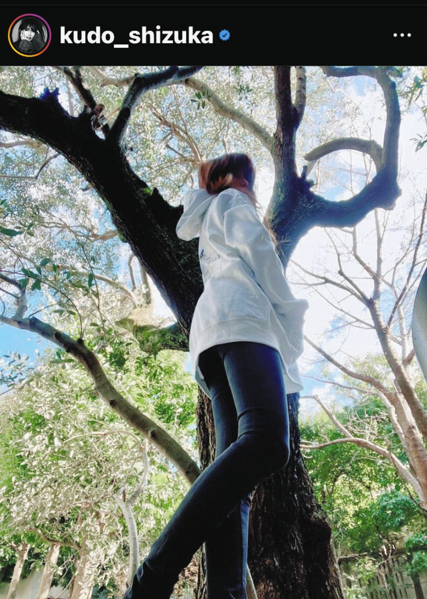 写真】デニムの脚強調 工藤静香の”あおりカット”：中日スポーツ・東京