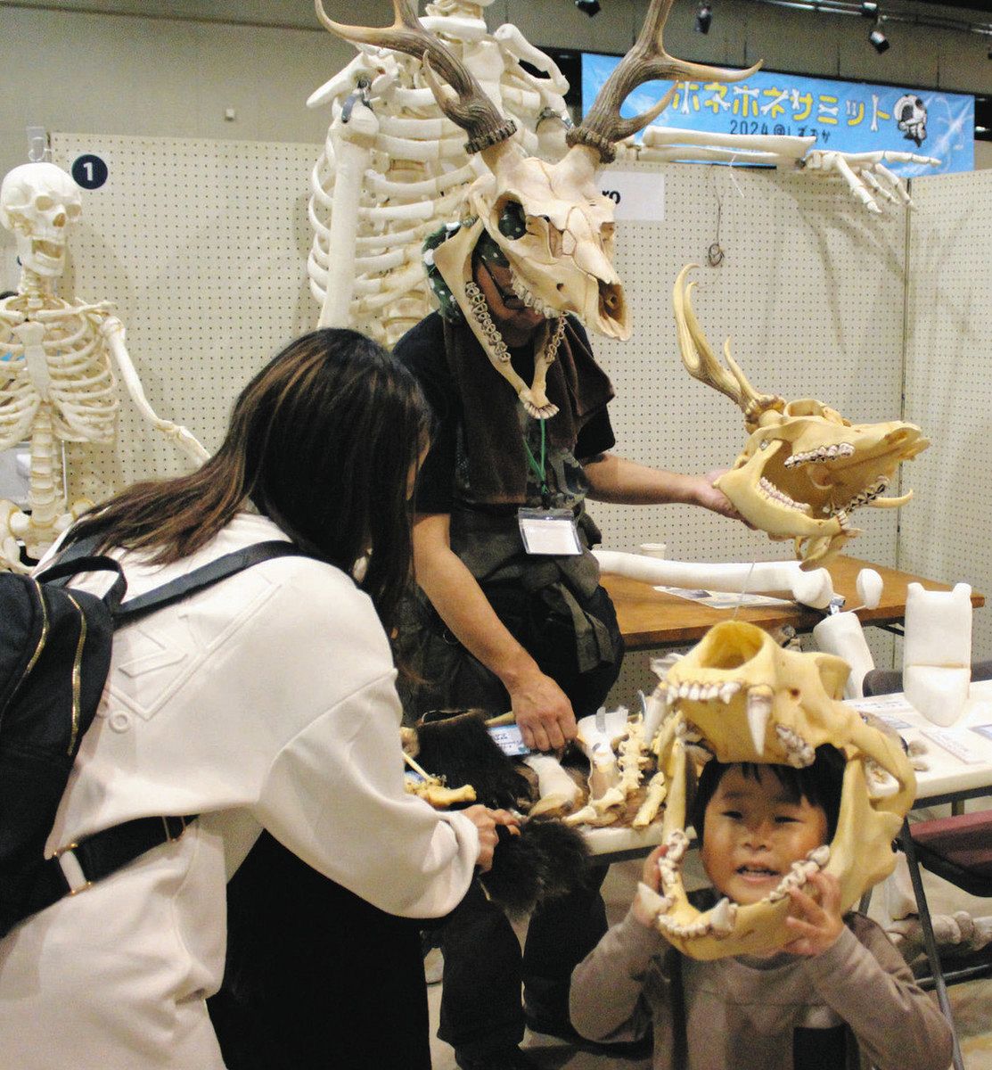 骨好き大集合！ 標本、レプリカ展示 清水区でイベント：中日新聞しずおかWeb