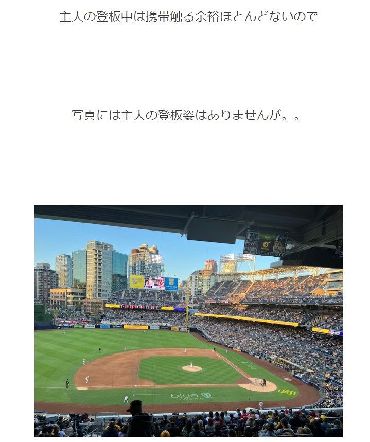 代わりはありません