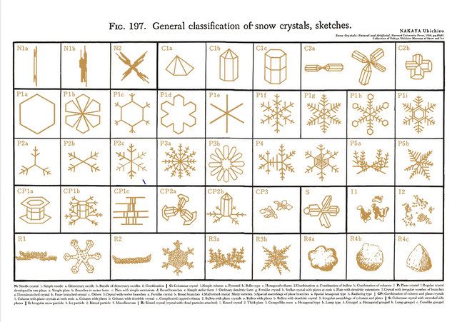 裏面に印刷された「雪の結晶一般分類図」のポスター 