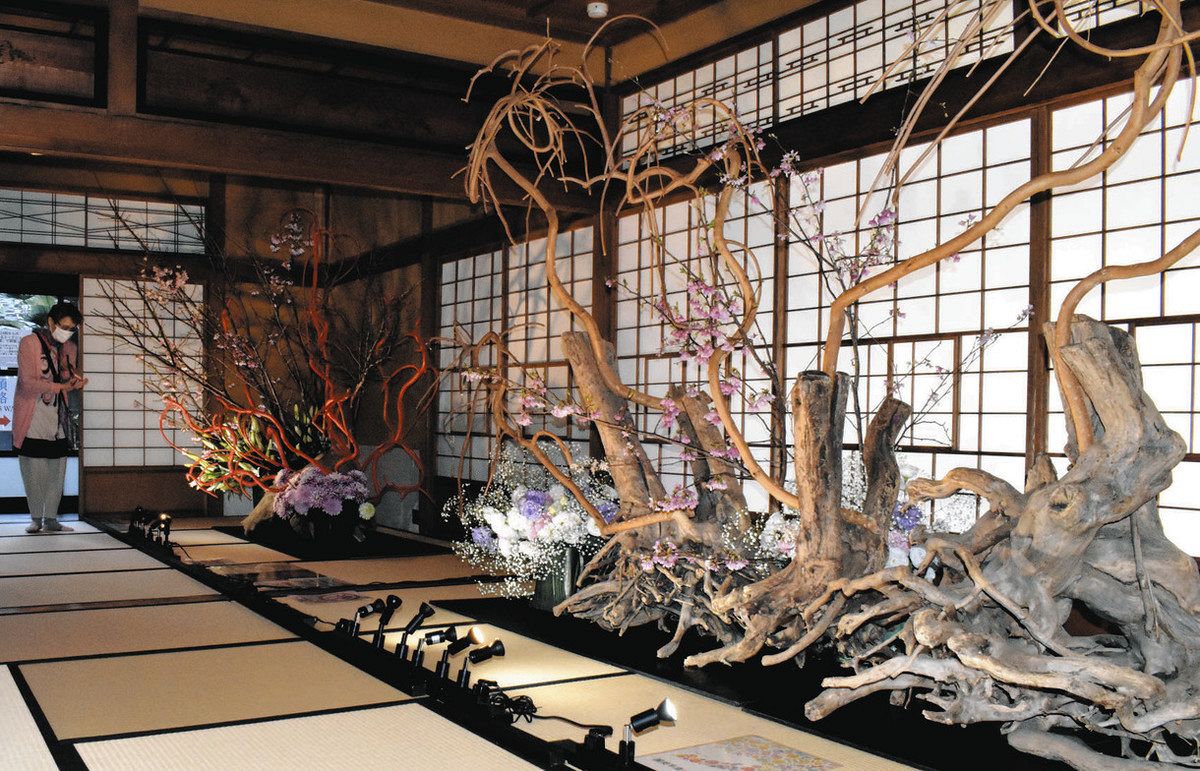 築100年の橦木館を彩る生け花 名古屋で假屋崎省吾さんが個展：中日新聞Web