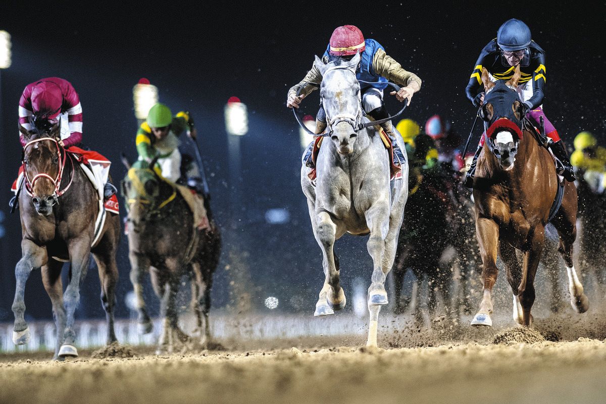 3着フォーエバーヤング、秋のブリーダーズCクラシックを勝つとしたら