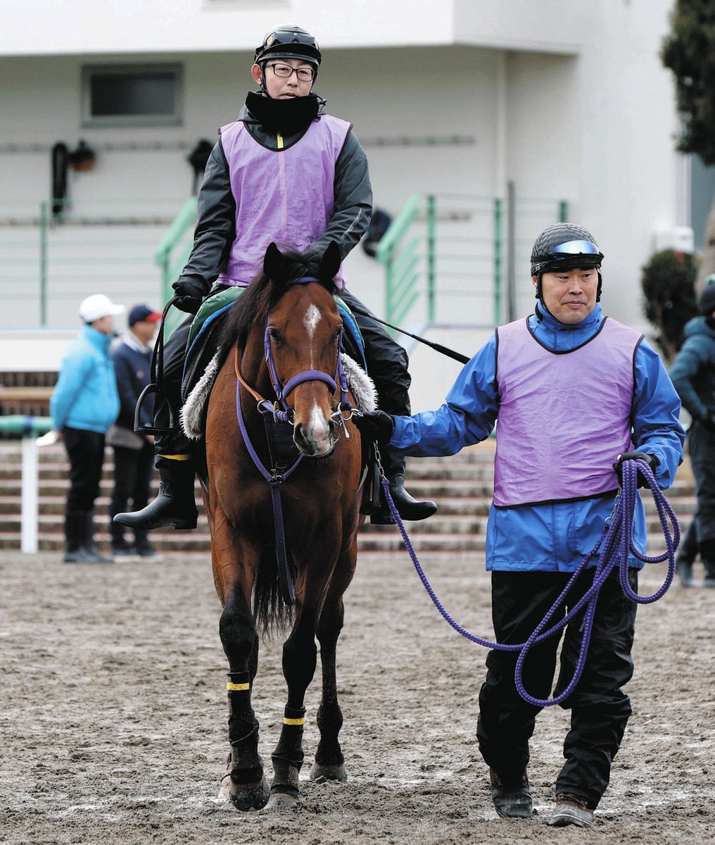 金鯱賞】AJCC6着ディマイザキッド中6週に清水英師「2000メートルという