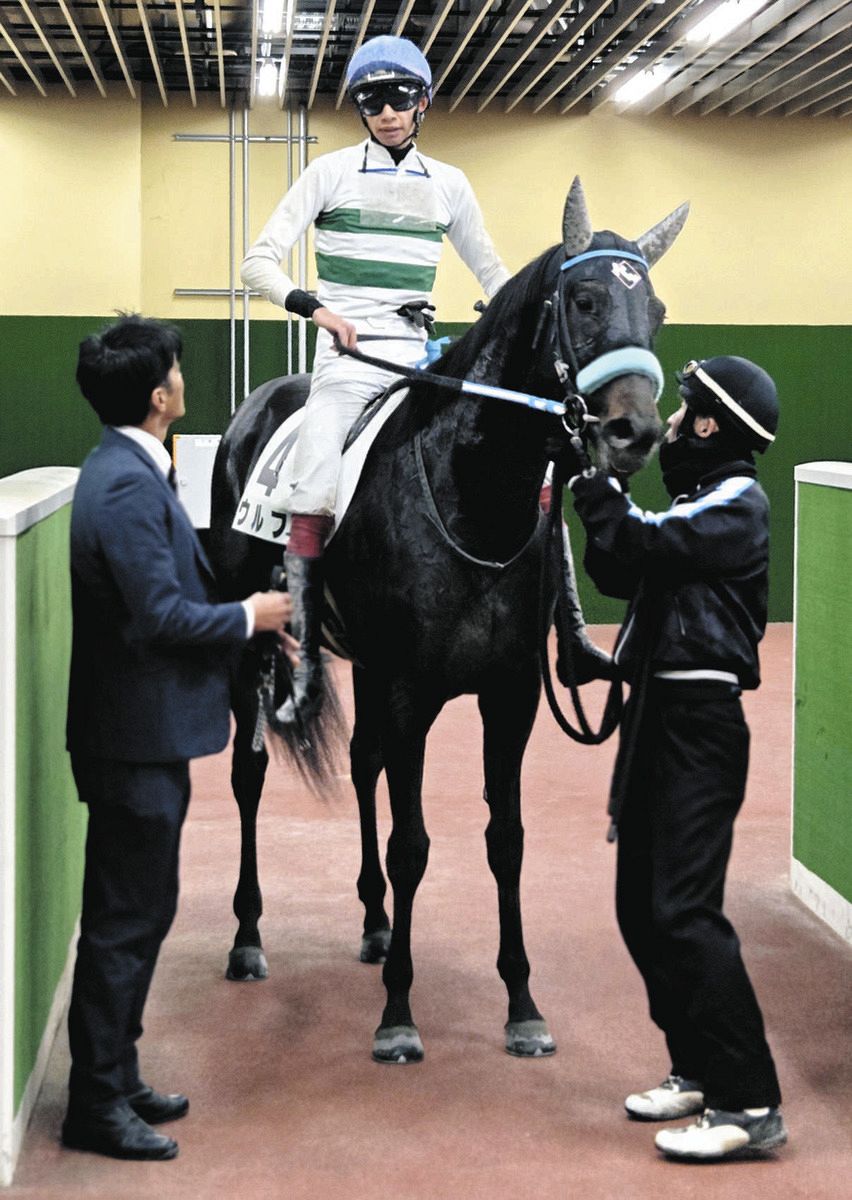 中京5R新馬】1番人気のウルフが3馬身差をつけて快勝 松本騎手「砂を被