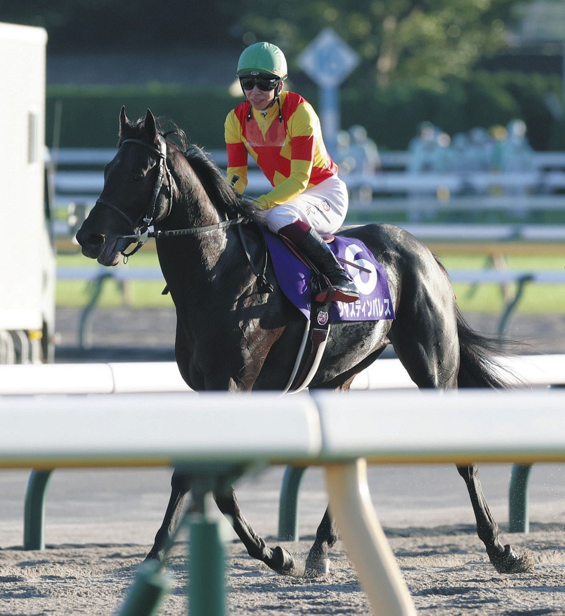 天皇賞・秋 2着ジャスティンパレスはメンバー最速上がり3F33秒7