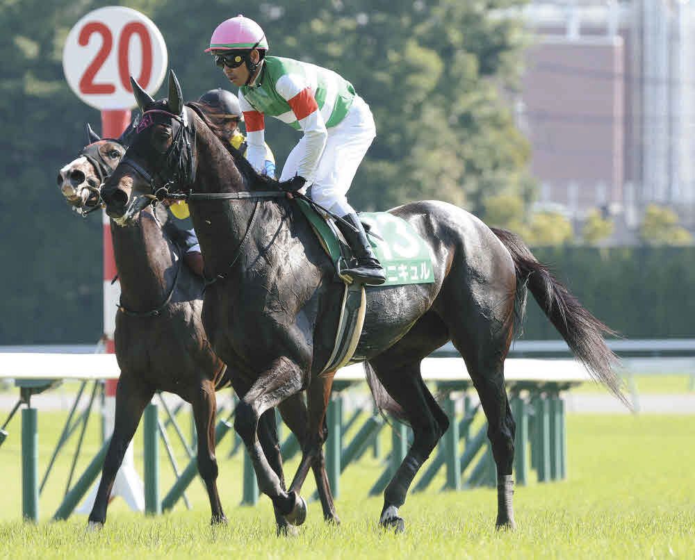中古】 集保の正攻法勝馬推理 競馬ファンはビッグレースに強く