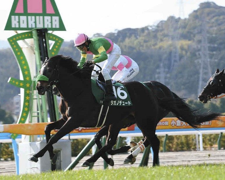 小倉大賞典】4番人気タガノデュード差し切り重賞初制覇 ケイアイセナと