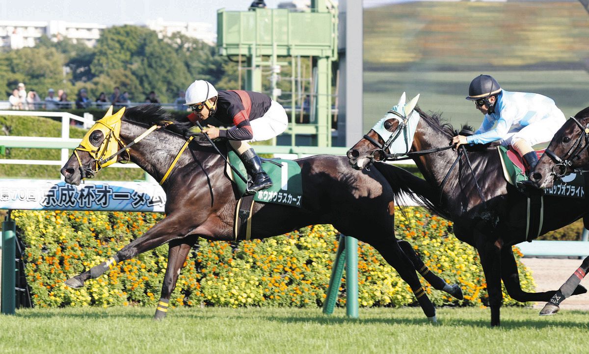 京成杯AH】7歳牝馬ホウオウラスカーズが重賞初勝利 3連単は93万