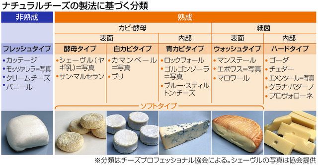 食問＞チーズの種類や特徴は？：中日新聞Web