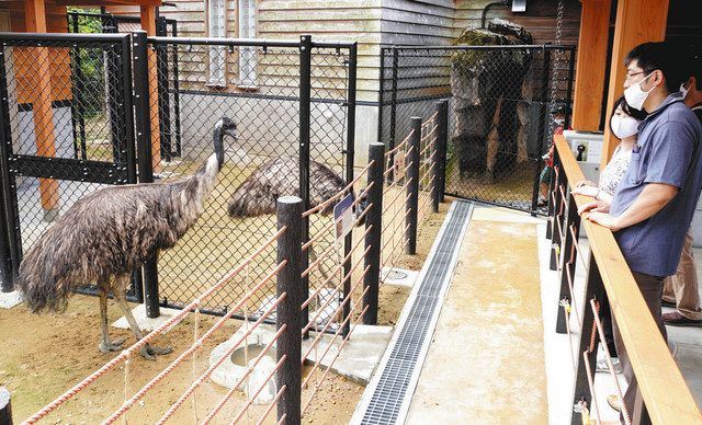 豪の動物 通路で間近に いしかわ動物園 展示施設を改装 北陸中日新聞web