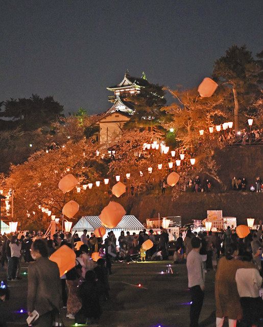 ランタンと桜と丸岡城共演 日刊県民福井web ランタンと桜と丸岡城共演 日刊県民福井web