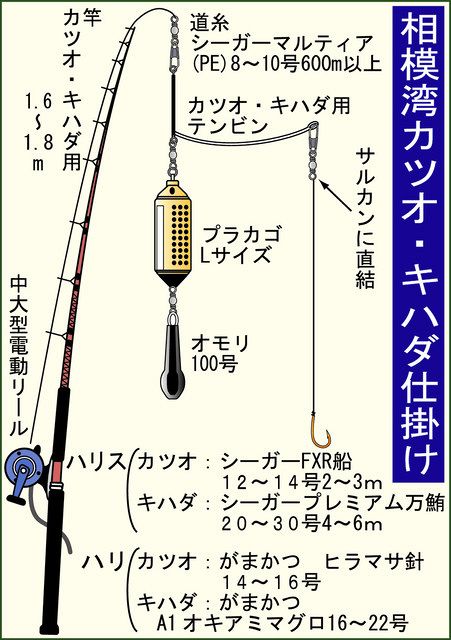 相模湾 キハダマグロ仕掛け