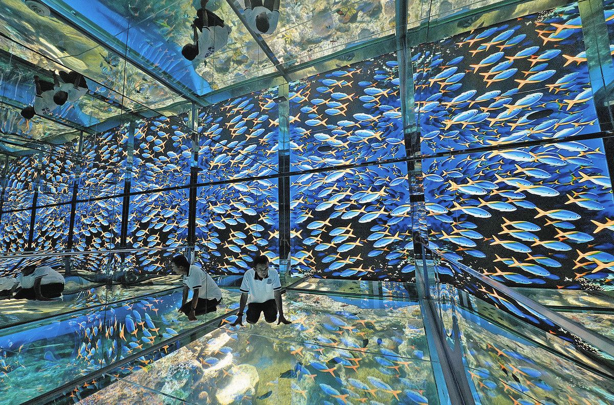 まるで海の中へダイブしたような没入感 福井県の越前松島水族館で展示