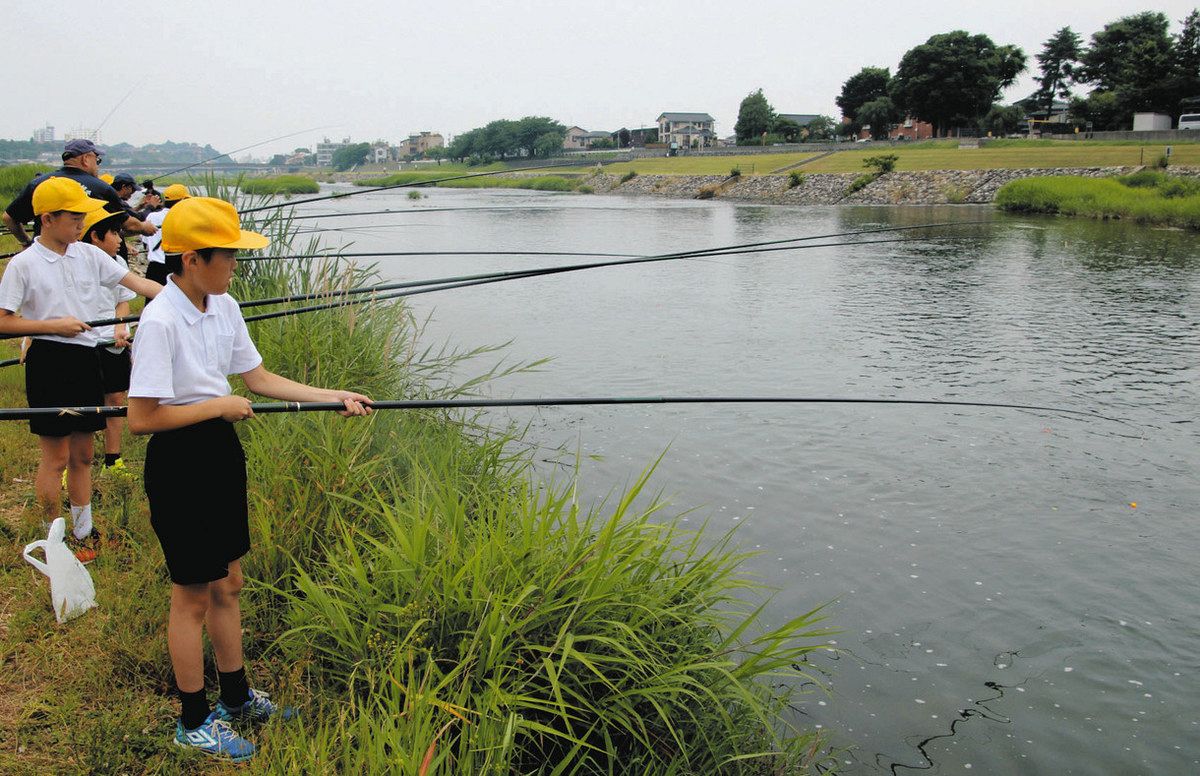加賀毛針でアユ釣り 犀桜小５・６年生 犀川で体験：北陸中日新聞Web