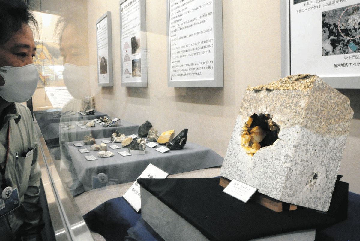 苗木城の成り立ちを伝える鉱物が並ぶ会場＝中津川市の鉱物博物館で