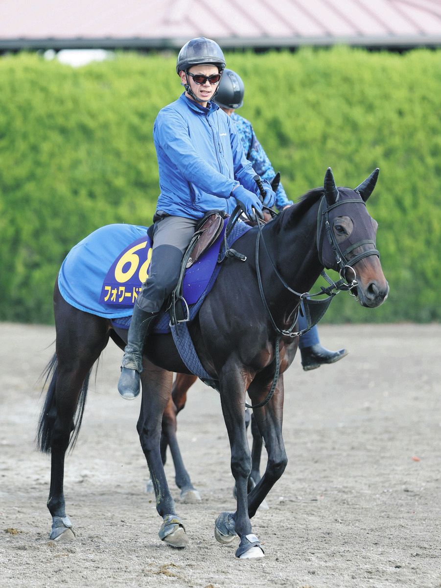 直近結果公開！）競馬出目理論を使った予想法マニュアル！統計学に基づいた競馬予想法とは？ - 趣味、スポーツ、実用