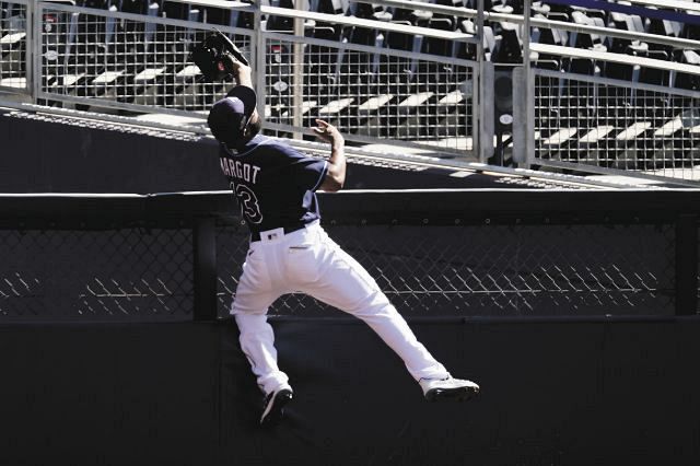 連続写真 超美技 レイズのマーゴ がスーパーキャッチ 中日スポーツ 東京中日スポーツ