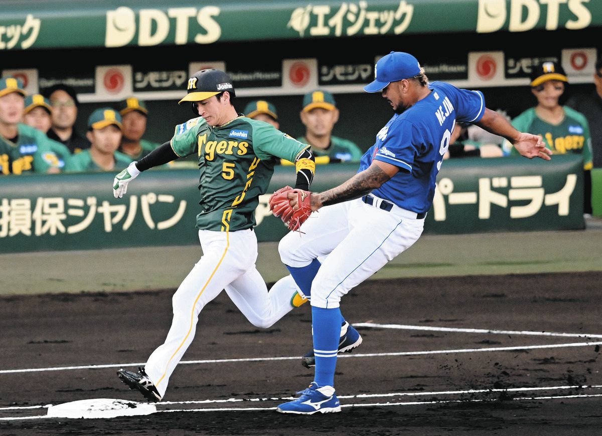 阪神甲子園球場ボウル 4個セット 阪神タイガース （ニュース