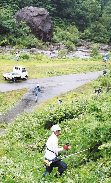 百万貫の岩周辺 除草や清掃活動 白峰で 岩を守る会 北陸中日新聞web