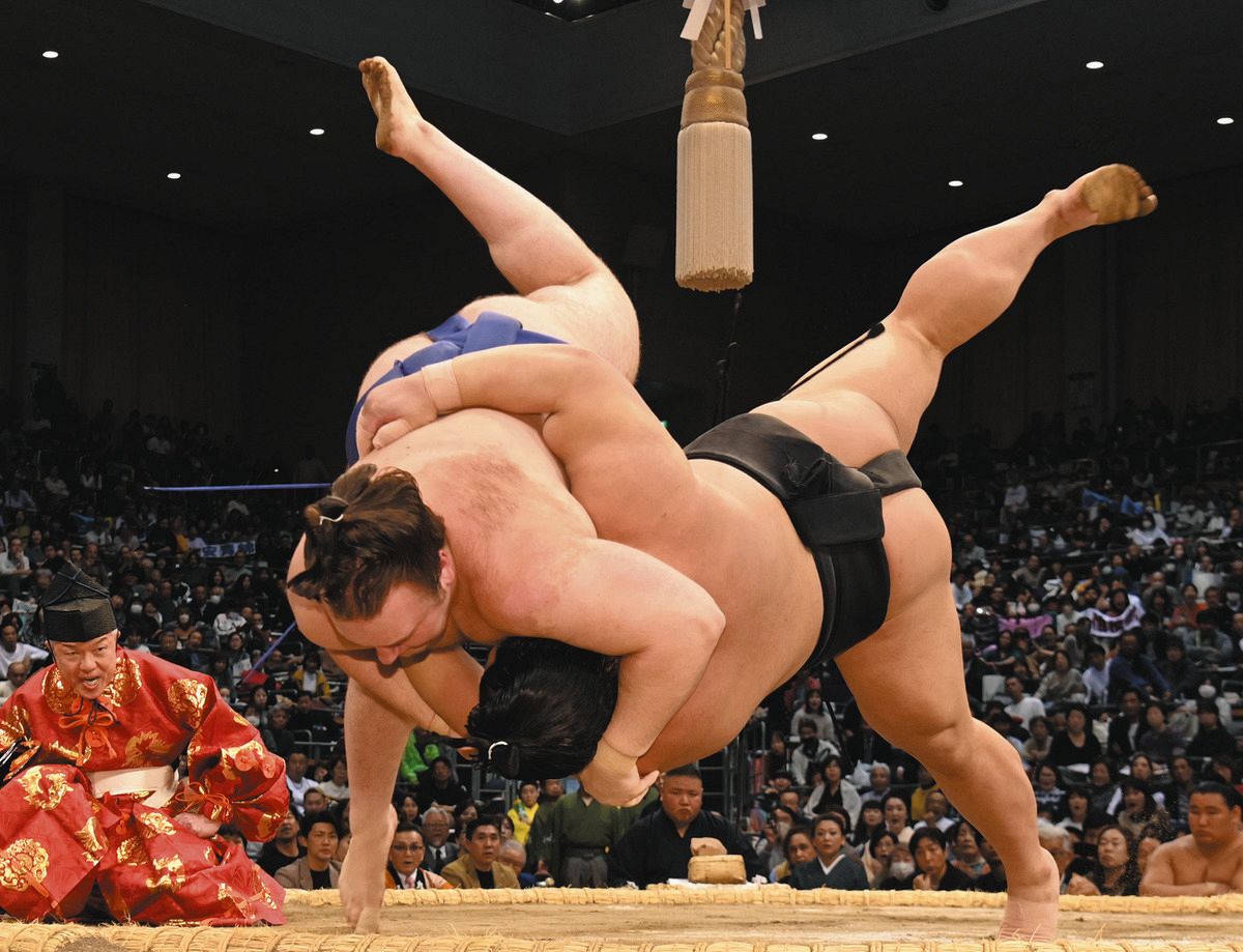 通販 専門 店 大相撲 九州場所 初日 福岡国際センター 【公式通販】