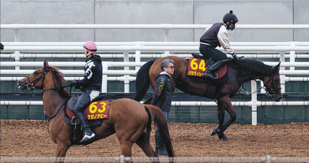 オークス】狙い澄ましたイン突き 3着タガノアビーの藤岡佑騎手「勝つ気