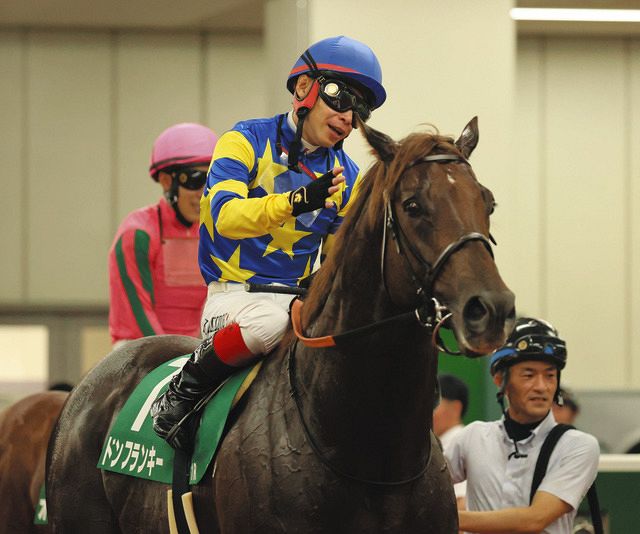 ドンフランキーが逃げ切りで重賞初制覇 池添「いいスタートが切れて自分のペースで進められた」【プロキオンS】：中日スポーツ・東京中日スポーツ