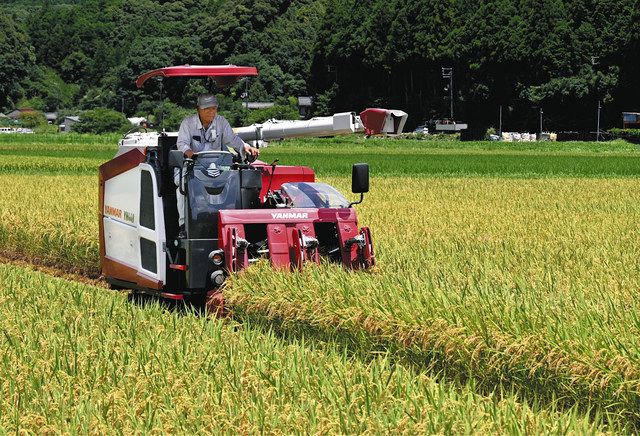 早くも田んぼ黄金色に 紀宝で早場米の収穫始まる 中日新聞web