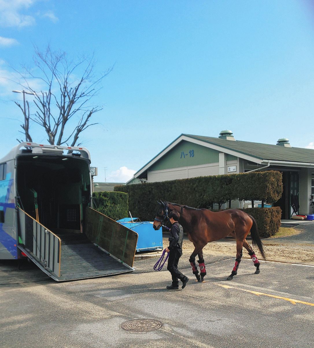 栗東トレセンを退厩。馬運車に乗り込むメイケイエール