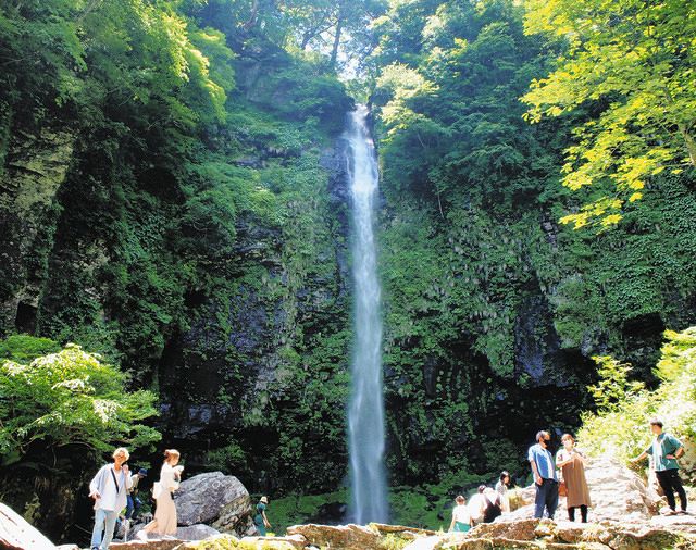 滝 落差60メートルの水しぶき 白鳥の阿弥陀ケ滝にぎわう：中日新聞Web