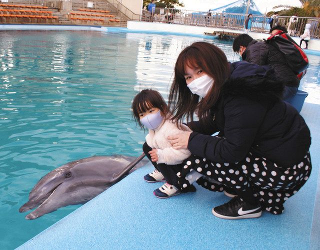 親子ら笑顔でイルカと握手 南知多ビーチランド 中日新聞web