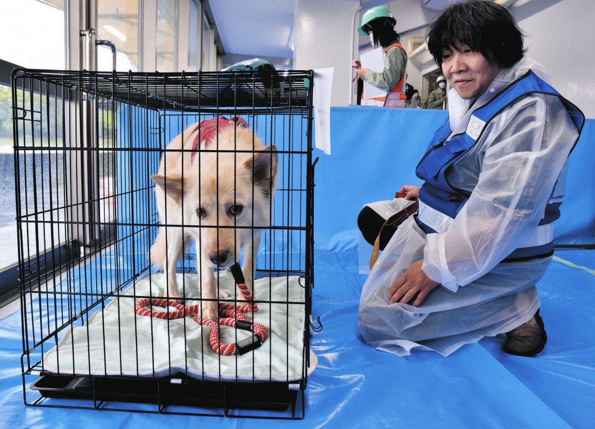 避難スペースに移動してケージに入った犬＝四日市市中央陸上競技場で 