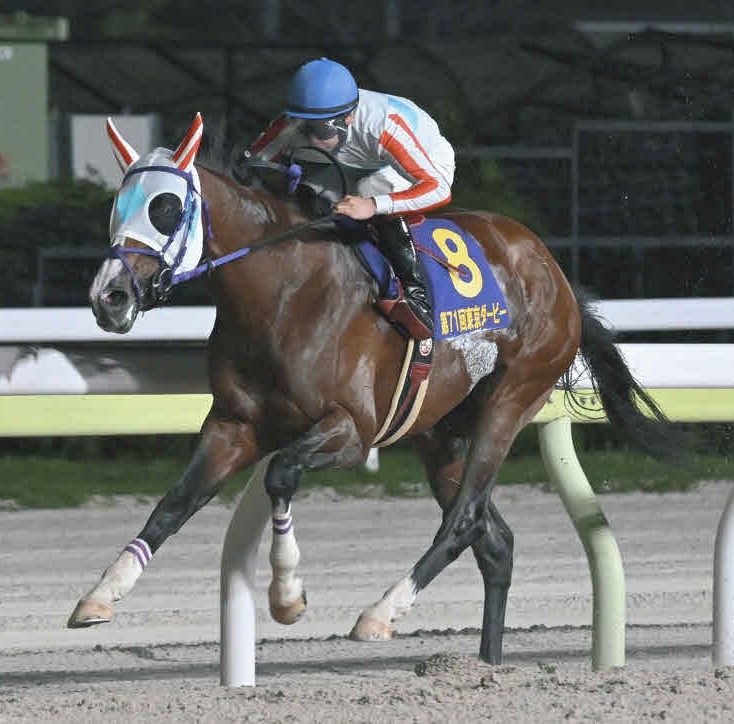 【東京ダービー】単勝1番人気のナチュラルライズが逃げ切り勝ちでダート2冠達成：中日スポーツ・東京中日スポーツ 