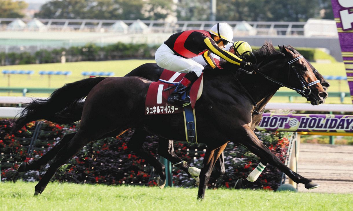 安藤勝己さん シュネルマイスターのエコな勝利に ルメールは道中しめしめと思ったんやないかな 毎日王冠 中日スポーツ 東京中日スポーツ