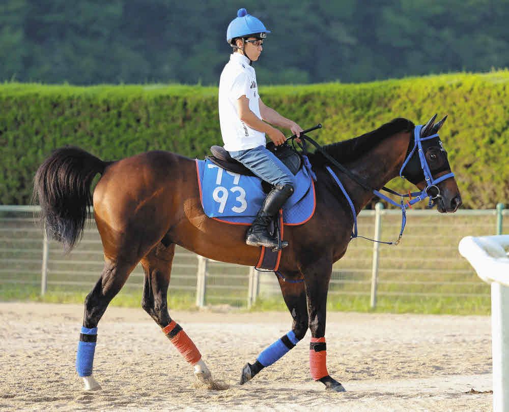 東海S】地元・中京でライツフォルとJRA重賞初Vに挑む小沢 「両親と