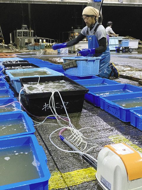 追跡 海と魚のまち ３２ 漁師の狭き門 中 中日新聞web